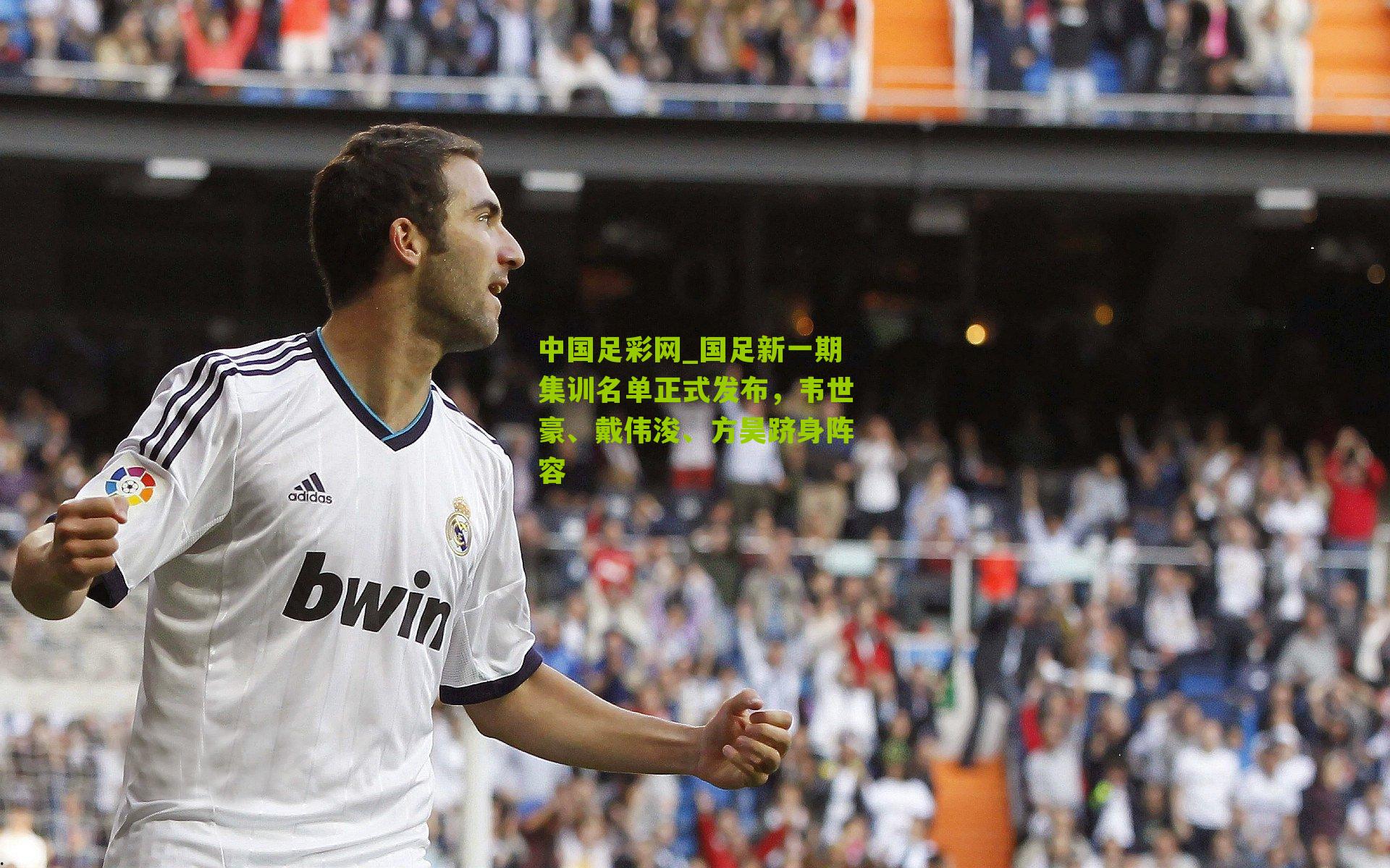 国足新一期集训名单正式发布，韦世豪、戴伟浚、方昊跻身阵容