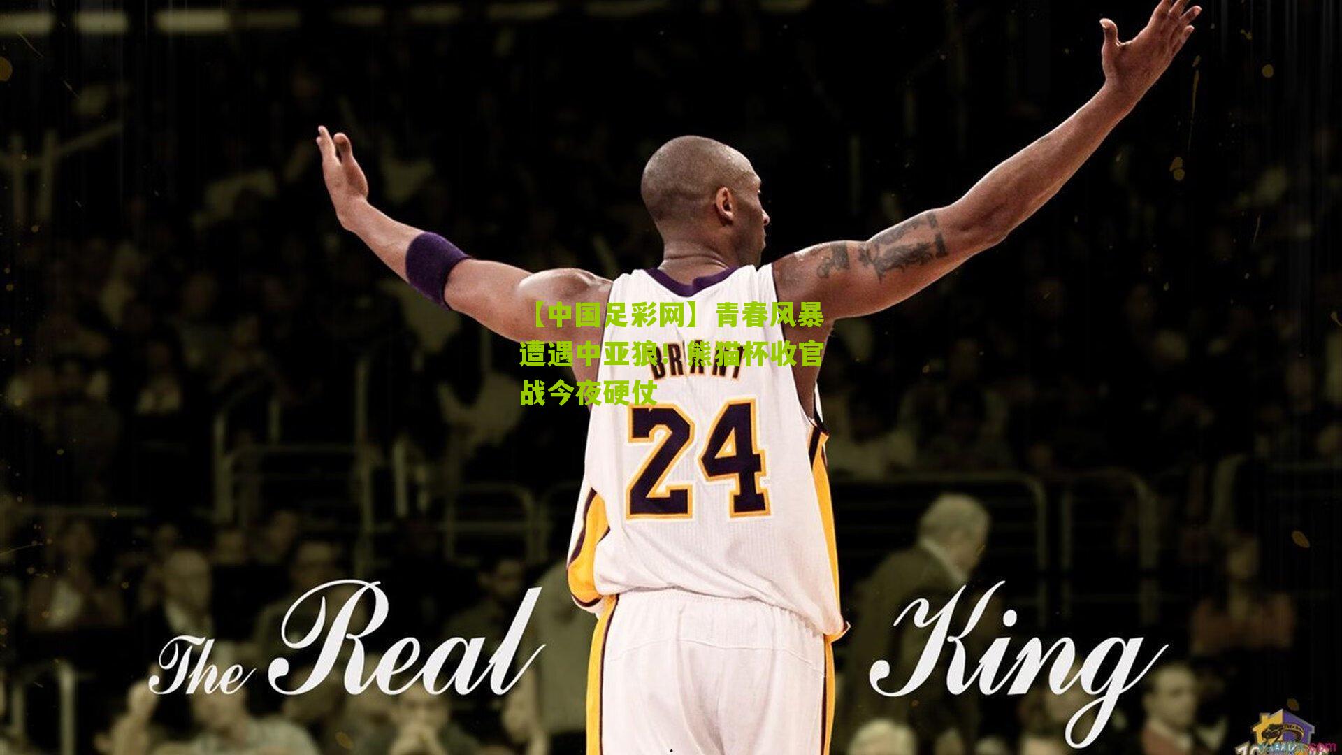 青春风暴遭遇中亚狼!熊猫杯收官战今夜硬仗