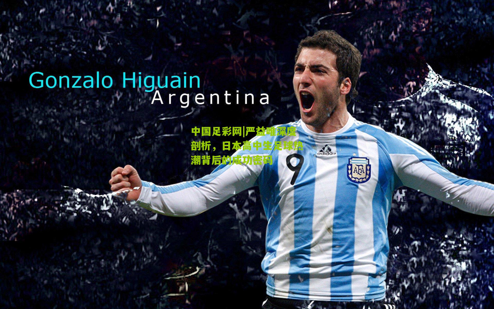 严益唯深度剖析,日本高中生足球热潮背后的成功密码